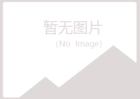 曲麻莱县冰夏金融有限公司